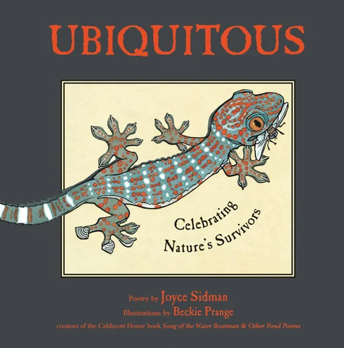 americanbookwarehouse10-874328