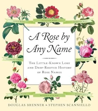 americanbookwarehouse10-886218