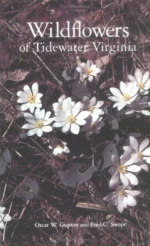 americanbookwarehouse10-899277