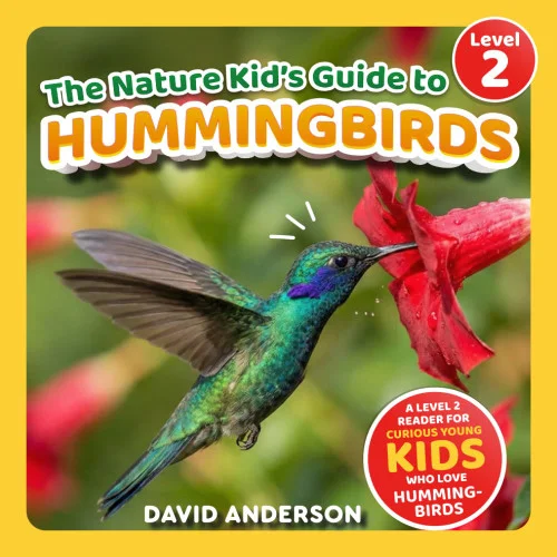 americanbookwarehouse11-1088877