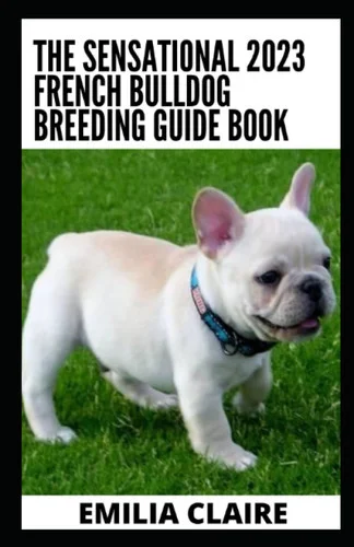 americanbookwarehouse11-1109912