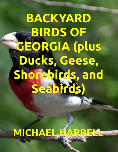 americanbookwarehouse11-1144740