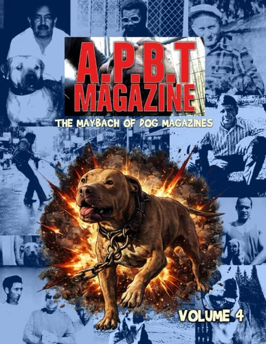 americanbookwarehouse12-1827946