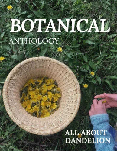 americanbookwarehouse12-1829001