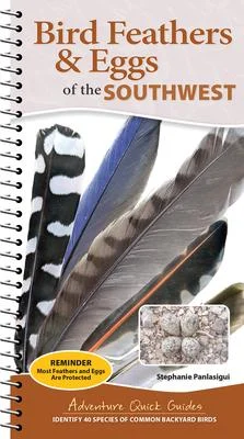 discountmags14-1724956