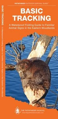 discountmags15-1726673
