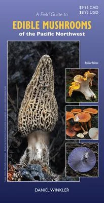 discountmags9-1232631