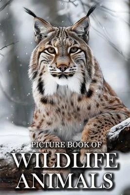 discountmags9-1283849